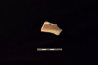 藏品(陶罐)的圖片